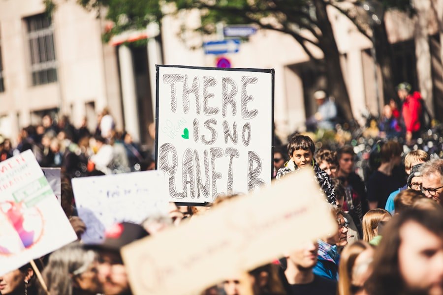 Nonprofit Website Case Studies