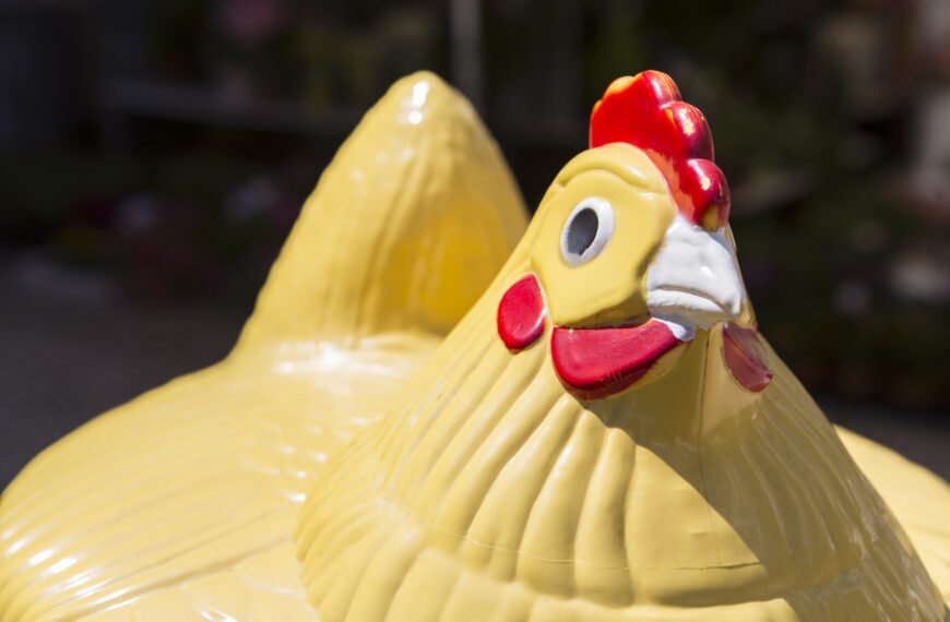 The Roosters of Ogunquit: What a Zoning Fight&hellip;
