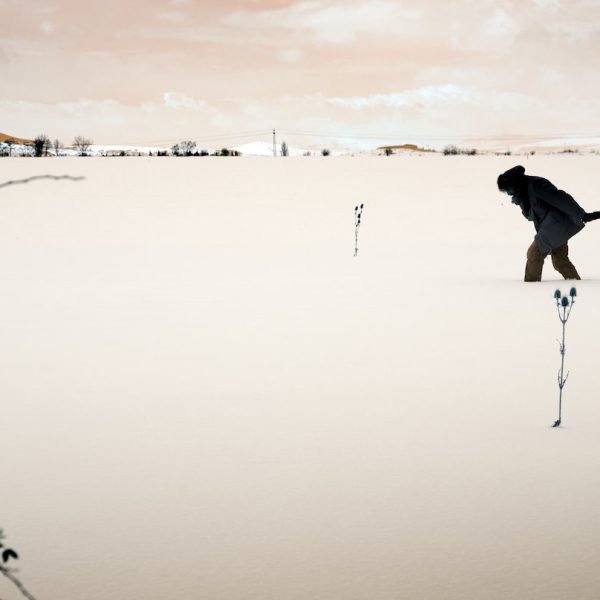 Rebuilding Communications for a Struggling NGO/NPO: Steps to&hellip;